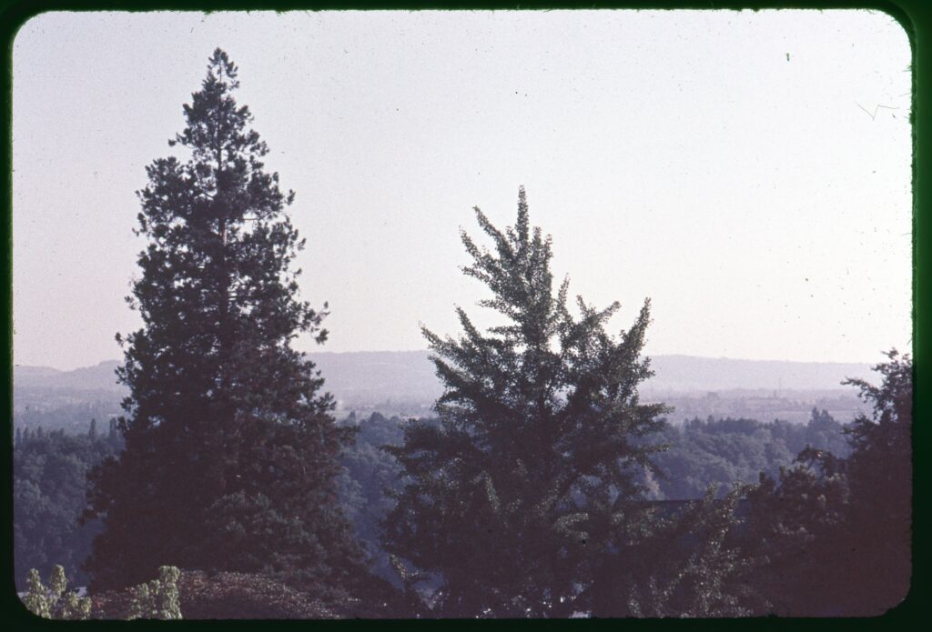 Geneva. Crête de Champel, 1964