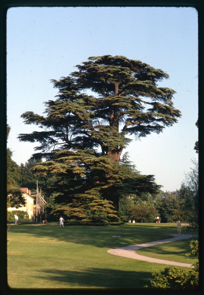 Geneva, Parc La Grange, 1971